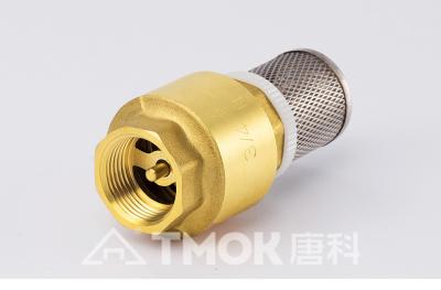 DN40 Non Return Check Valve