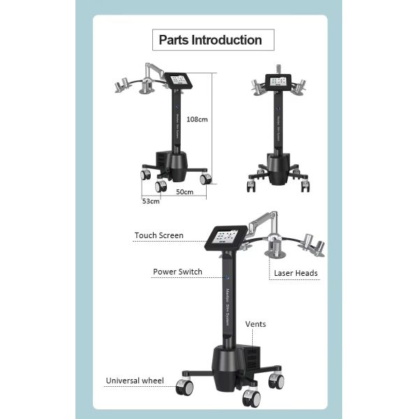 6D Red Light Laser 532nm Wavelength Weight Loss Beauty Machine For Fast Fat Reduce