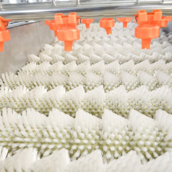 Máquina de lavado de frutas y verduras de acero inoxidable 220v