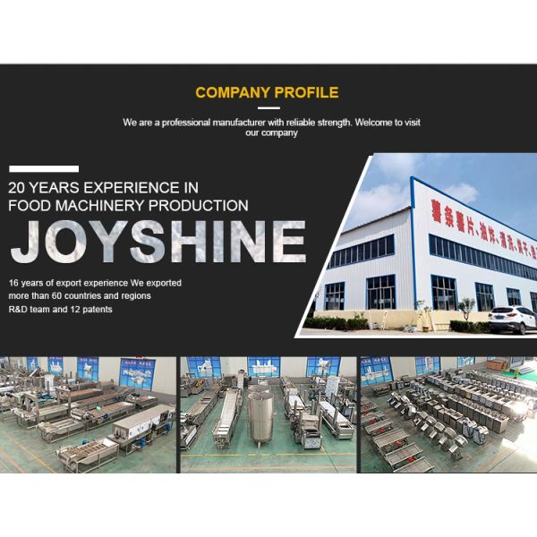 1kg Potato Chips Making Machine Potato Chipper Machine 4000 X1100 X 2200mm