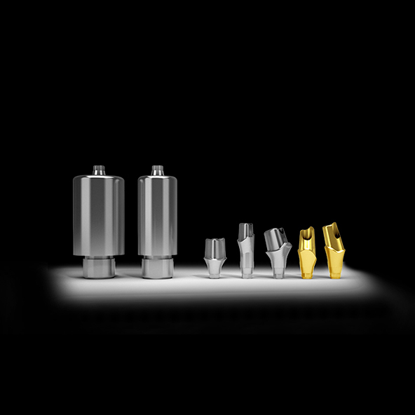 Silver Custom Titanium Abutments Dental Implants With Full Zirconia Crown