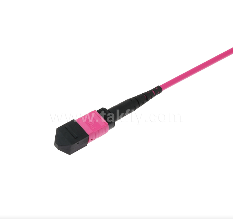 MPO/MTP OM4 Patch Cord – High-Density Multimode Connectivity for Next-Gen Data Centers