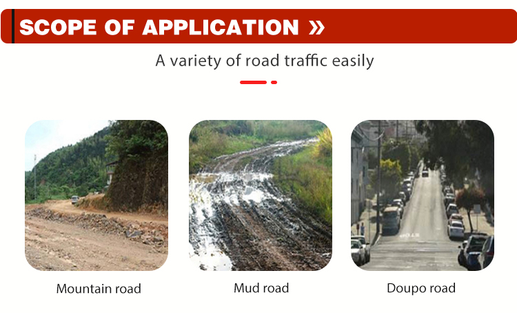 Раскройте тип загрузку мотоцикла 1000kg груза колеса 300CC 3