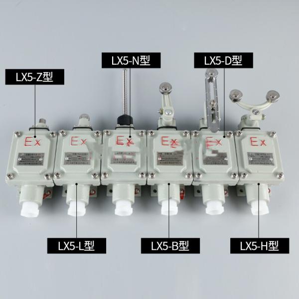 50/60HZ Voltage and 2 Poles Explosion Proof Switch Made of Marine Grade Aluminum for Harsh Environments