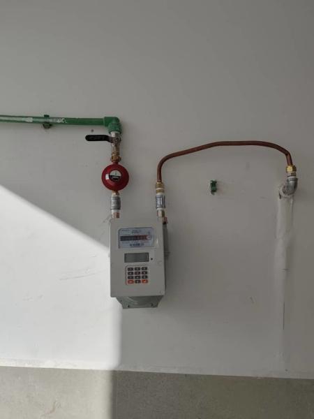 Customized Self-routering Meshwork Blood Glucose Test Meter for Personalized Monitoring