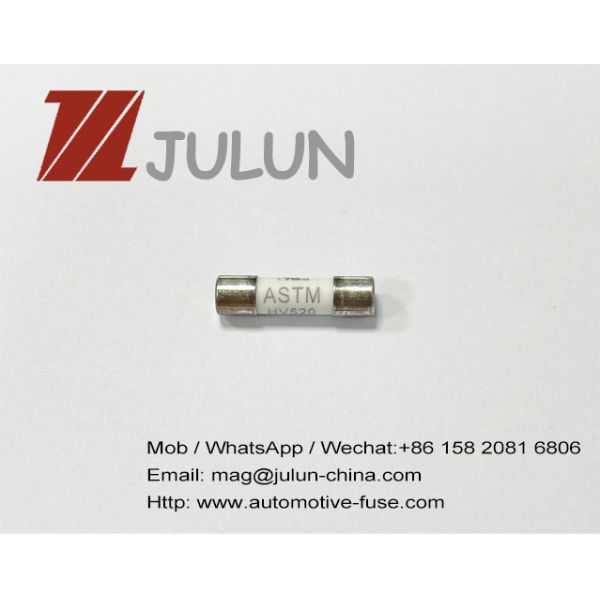 600V 500V 5x20mm Time Delay Ceramic Tube Fuses