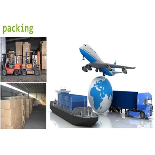 Complex Internal Space  Articulating Endoscope Camera Dia 3m Small Size