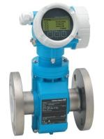 Proline Promag P 200 Endress Hauser Instruments Électromagnétique débitmètre 5P2B1F-AAACCAEA1K0A