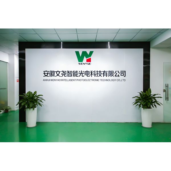Wenyao AI Advanced Technology Areaca Nut Peeled Garlic Sorting Machine Optical Bean Rice Pumpkin Seed Color Sorter Machine