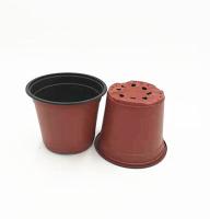 Pot de fleurs jetable à double couleur pour serre et jardin