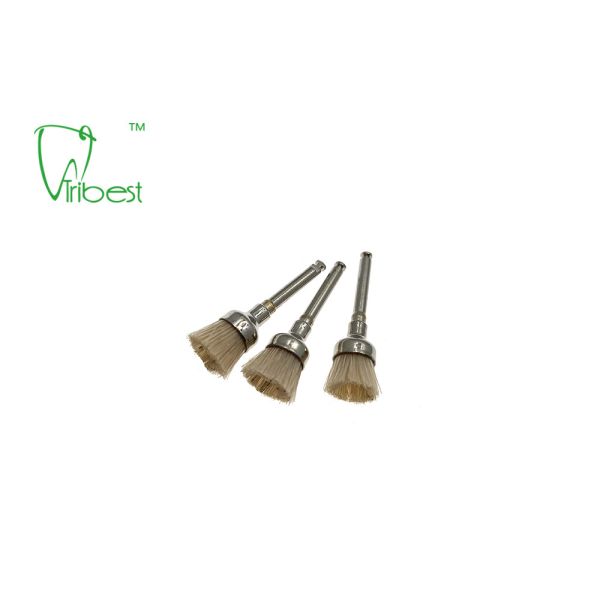 White Bristle Brush Dental Polishing Kit Teeth Polishing Brush