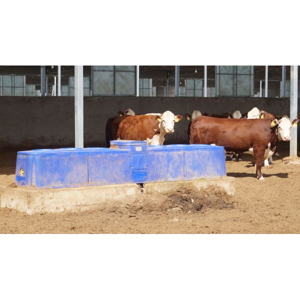 Cattle Water Trough TPT401BLH Blue Corrosion-resistant Trough With Six Holes