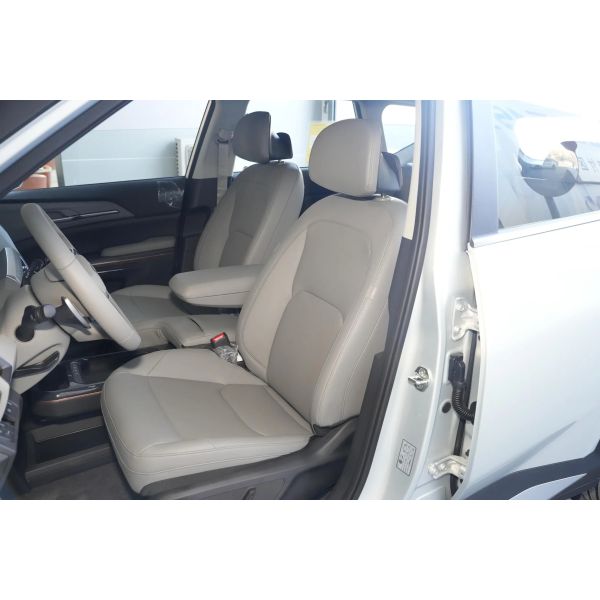 Nuevo Kia 2025 Año 2 WD Coche eléctrico Durable Poderoso Coche ideal para el mercado de Oriente Medio