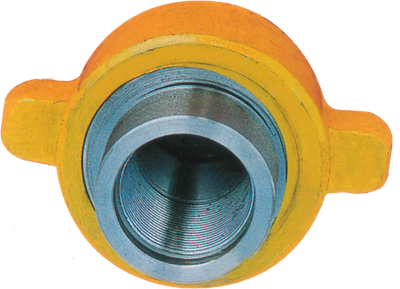 Forging Steel Butt Welding Female Threaded High Pressure Pipe Union DN25 - DN100