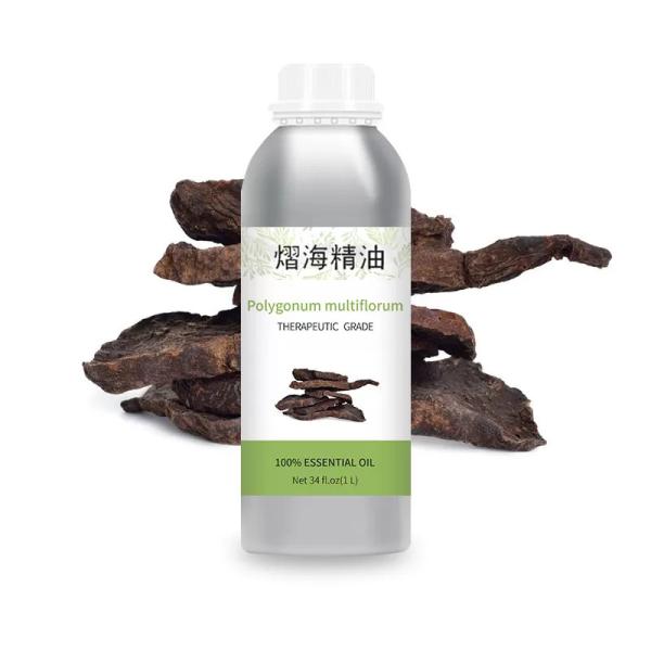 factory supply wholesale 100% pure organic bulk Polygonum multiflorum oil