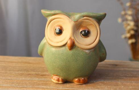 Succulent Creative Owl Animals Plant Flowerpots