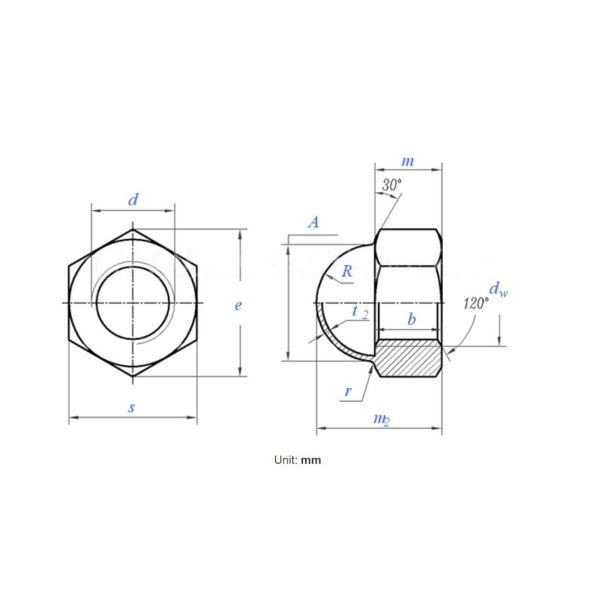 Japan standard JIS B1183 Domed cap nuts Type 1 Type 2 Type3 for 4T 5T 6T carbon steel ZP YZP zinc nickel alloys 304  316
