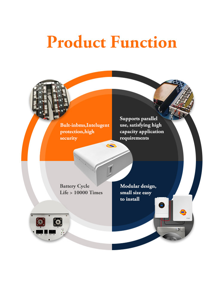 51.2V 200Ah 10KWh Wall Mount Lithium Iron Phosphate Battery Home Solar Storage Battery With Smart BMS Touch Screen