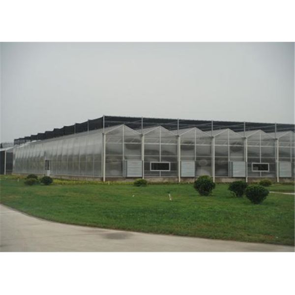 50 Micron UV Thickness Polycarbonate Greenhouse High Light Transmission