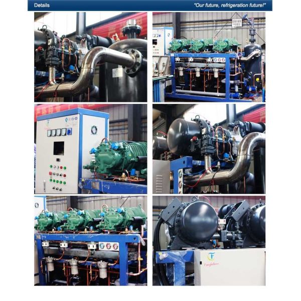Говядины тавро Fusheng блока компрессора холодной комнаты холодильной камеры Pre - Refrigerated