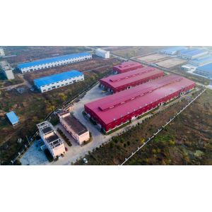 Hai Lift Machinery Co., Ltd.