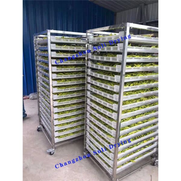 Dehydrated Vegetables CT Series Hot Air Circulation Oven Electric Heating