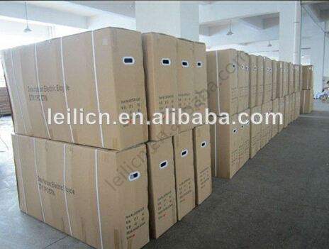 Most Powerful Fat Tire Electric Bike 1000W With Aluminum Alloy Frame