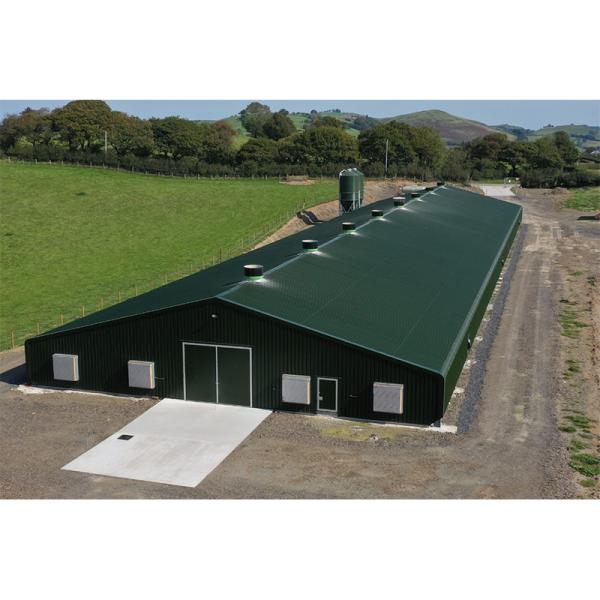 Agricultural Steel Prefabricated Farm Building Chicken House