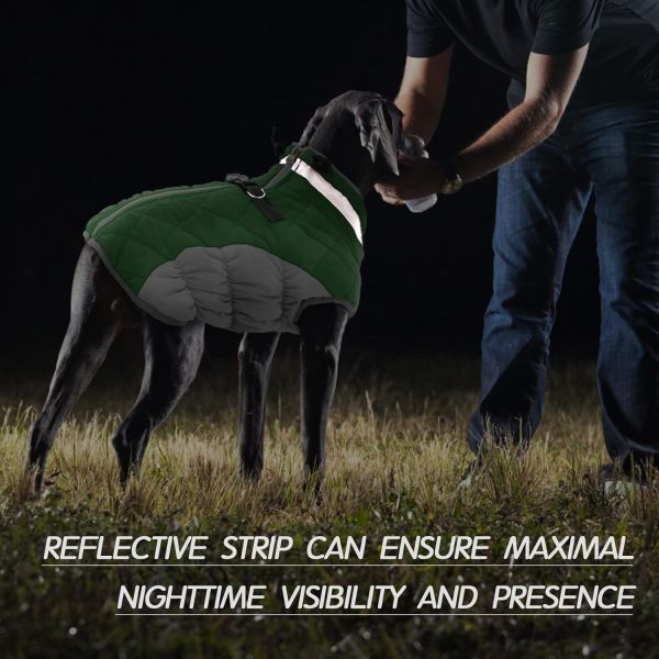 Quick-Dry Fabric Pet Outdoor Wear Adjustable Sizing Breathable & Lightweight