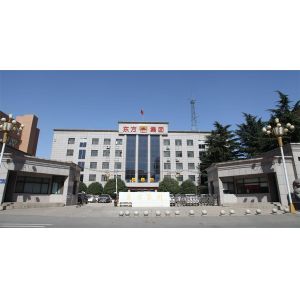 Henan Dongfang Noodle Machine Group Co., Ltd.