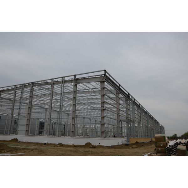 Customized Modern Prefab Steel Structure Workshop & Warehouse