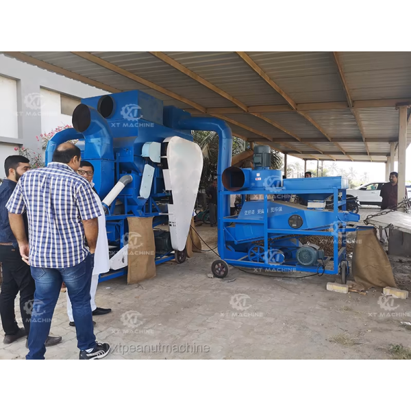 Customizable High-Yield Máquina descascaradora de maní with 380V 50Hz 3 Phases for Industrial Use