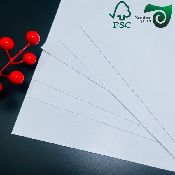 Double Sided White Matte Coated Art Card 250g  300g 25 36 Inches FSC Glossy Art Paper