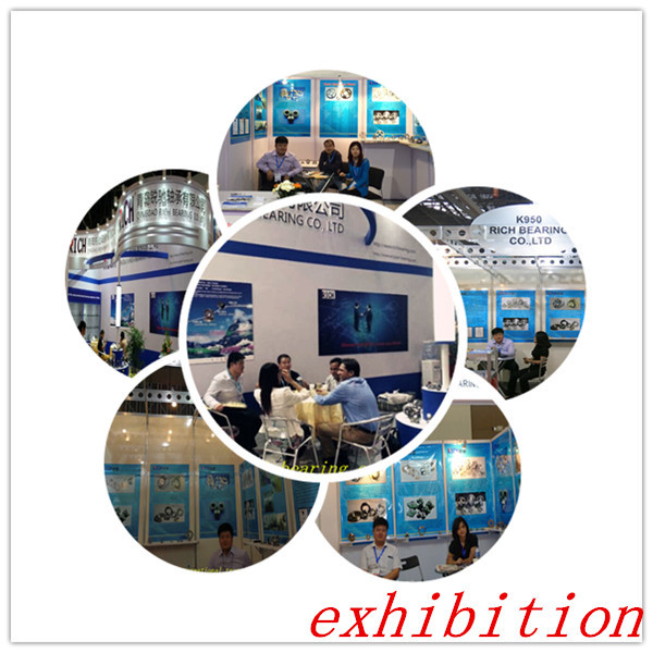 Silent Auto Engine Gearbox Bearings Brass Cage With One Side Seal Ring