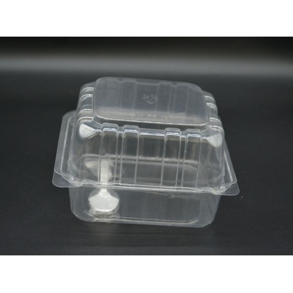 137mm Disposable Food Packaging Boxes PET Fruit Clamshell Packaging