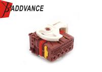 Conector plástico de 28 Pin Brown Female Sealed Electrical para la pista