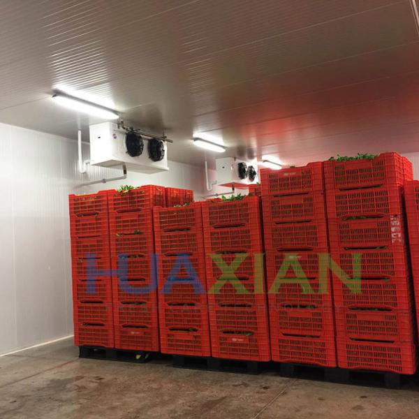 0 Celcius Walk in Freezer Chiller/Cool/Cold Storage Room Warehouse for Fresh Onion/Potato/Fruit/Vegetab