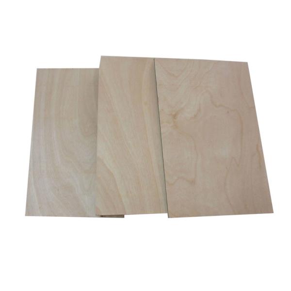 Full Hardwood Core MR 12mm Film Faced Birch Plywood