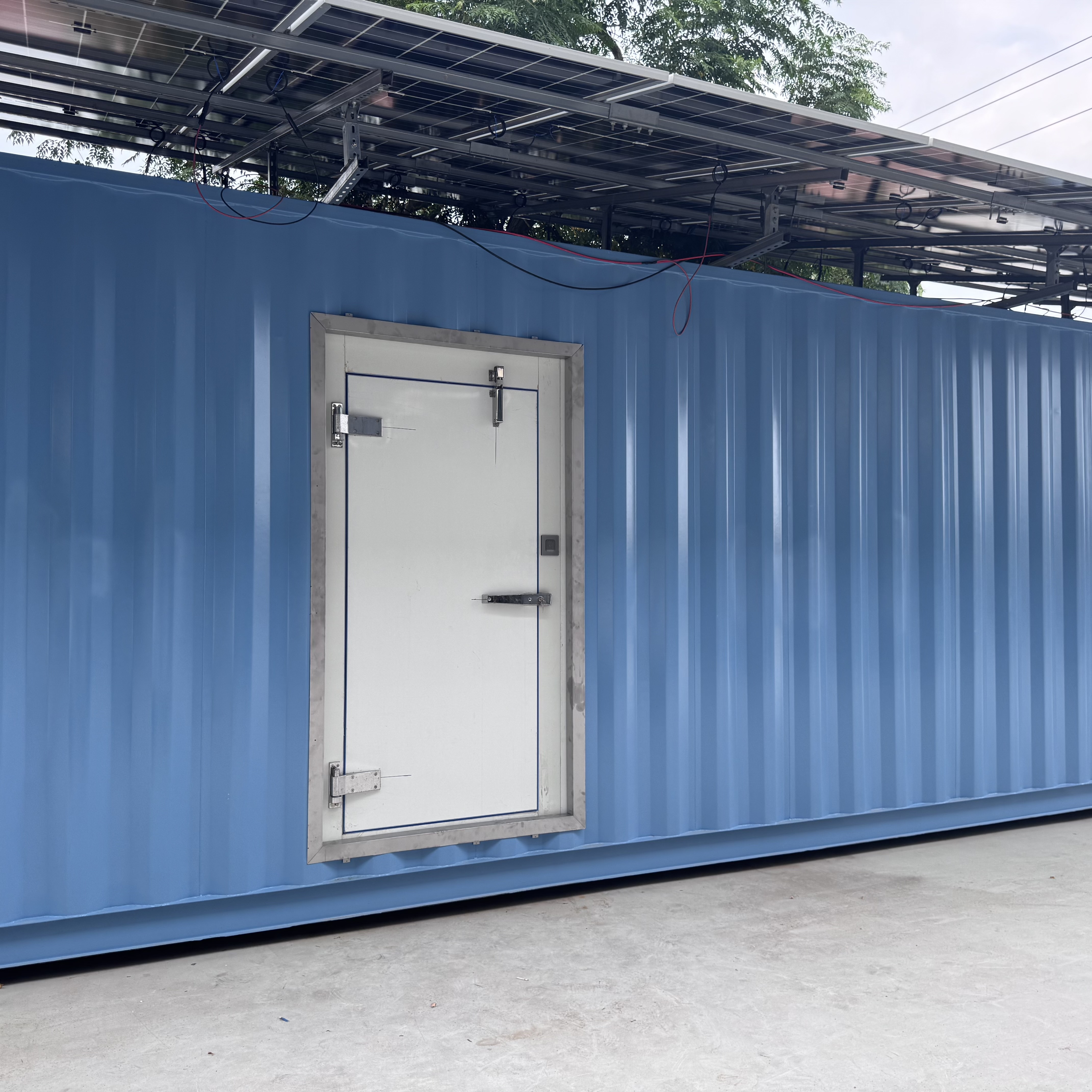 Cold Room Storage for 20FT and 40FT Containers with Precise Temperature Control and Controlled Atmosphere