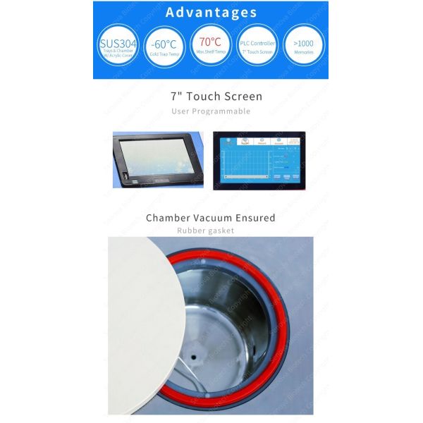 4kg Vertical Freeze Dryer Stainless Steel Lab Scale Lyophilizer