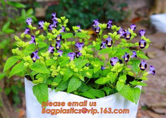 cultivating bags, 100% biodegradable various Wholesale Poly Black Square Garden Plastic Baby Flower Plant Nursery Poly B