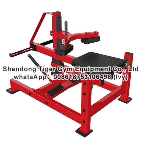 Gym Fitness Equipment Seated / Stand Calf Raise / Super Horizontal / Standing / Horizontal Calf exercise machine