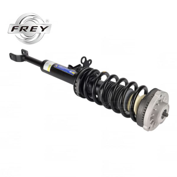 5 Series F18 Front Shock Absorber Assembly Practical 31316854579