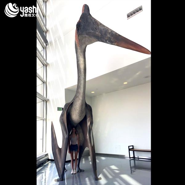Silicone Lifelike Pterodactyl Dinosaur Model Movable Electrically Powered