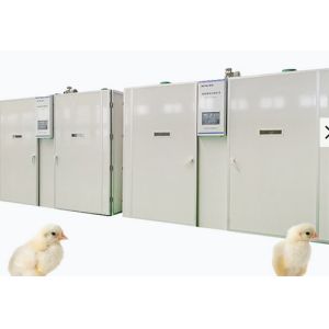 Инкубатор одиночного этапа 57600 яя цыпленка насиживая машину