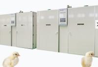 Incubateur d'étape unique de 57600 oeufs de poulet hachant la machine