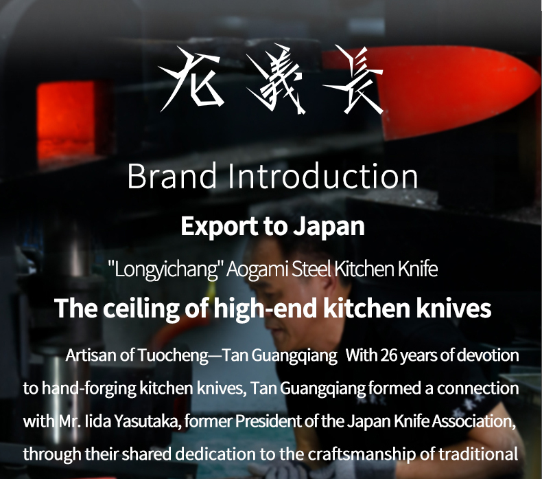 Aogami 2 Gyuto Knife Hand‑Forged Japanese Chef’s Knife for Professional Kitchen