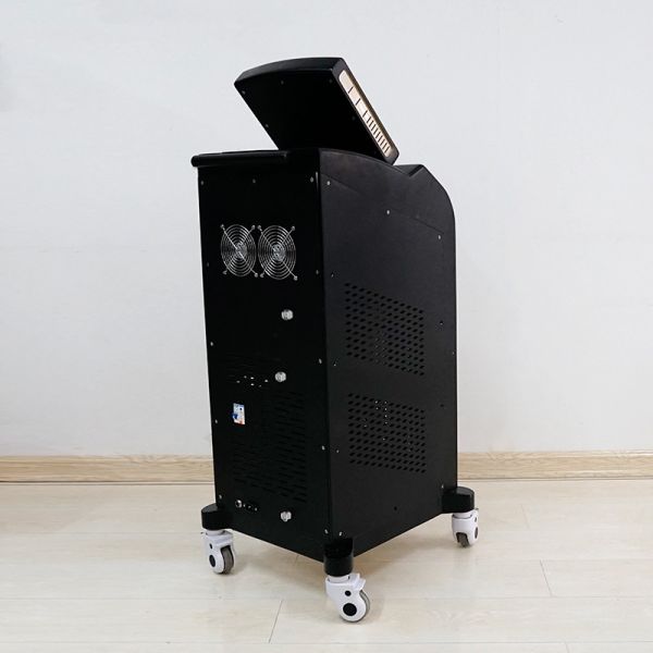 Máquina de alta calidad del retiro del pelo del laser del diodo para el uso profesional del salón