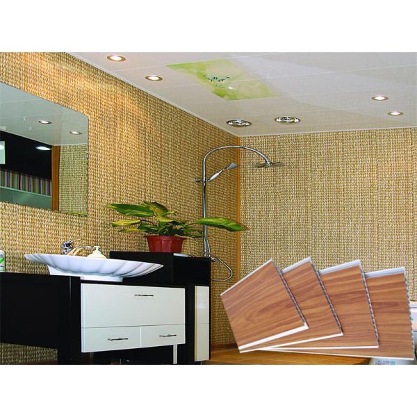 Водоустойчивый деревянный штемпелюя пластиковый СГС КЭ Толит панелей стены ПВК