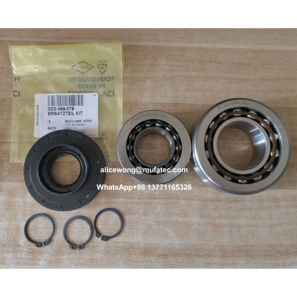Automotive Differential Part Kit Audi Differential Repair Kit 0D2-598-078 Oil Seals F-564698.SKL F-560119. 02. SKL Double Row Ball Bearings